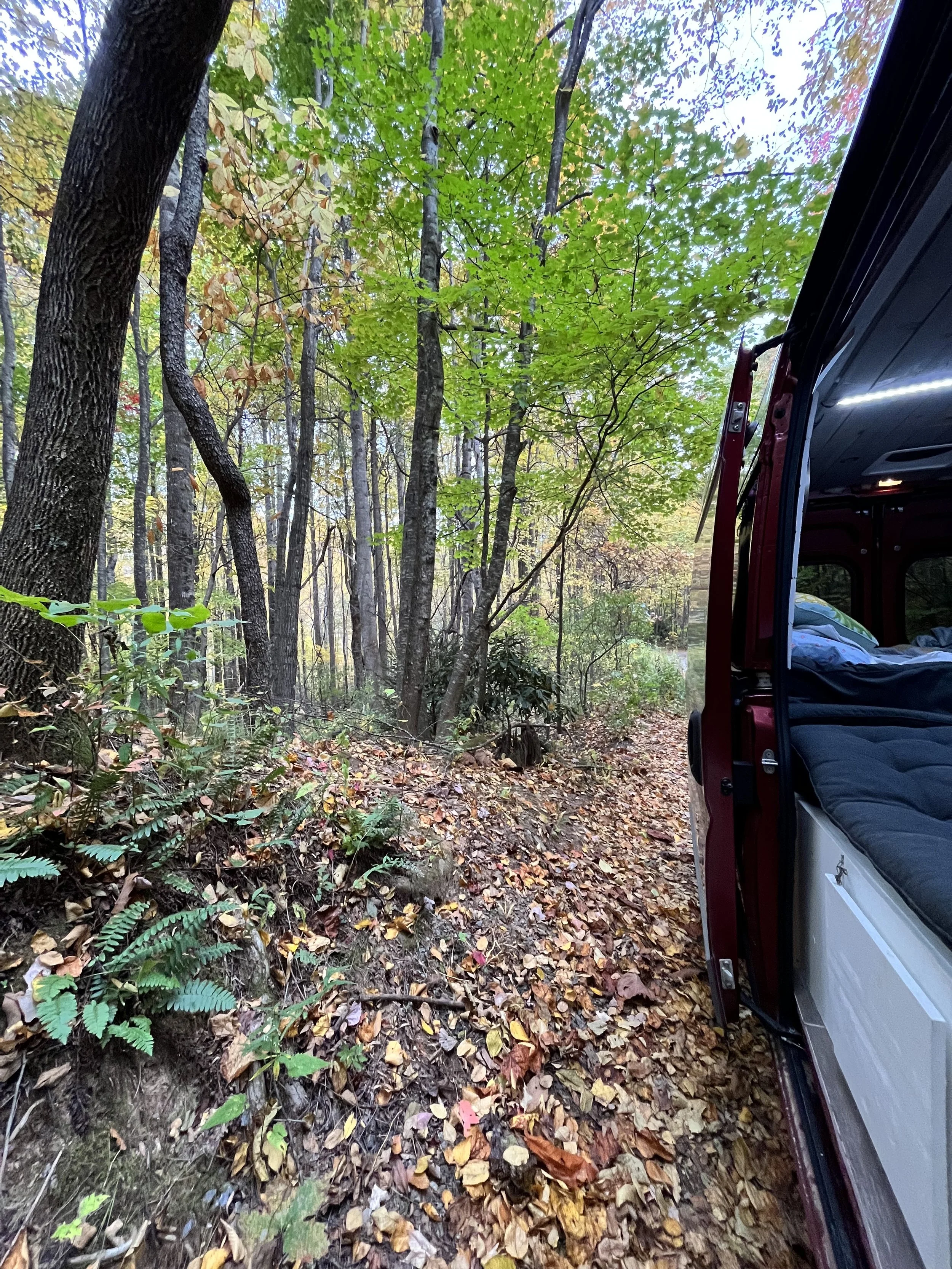 Camping and Hiking in Pisgah National Forest in Asheville, North